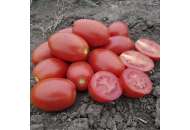 9905 F1 - томат детермінантний, Ларк Сідс (Lark Seeds), США фото, цiна